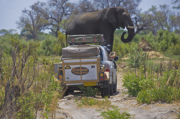 Erlebnis-Reisen Afrika